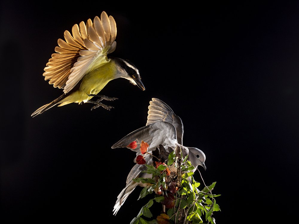 Photograph by Esteban Argerich