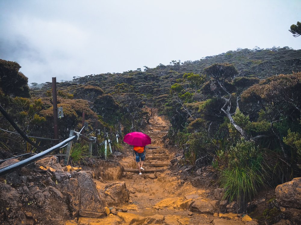 Photograph by Faiz Asali