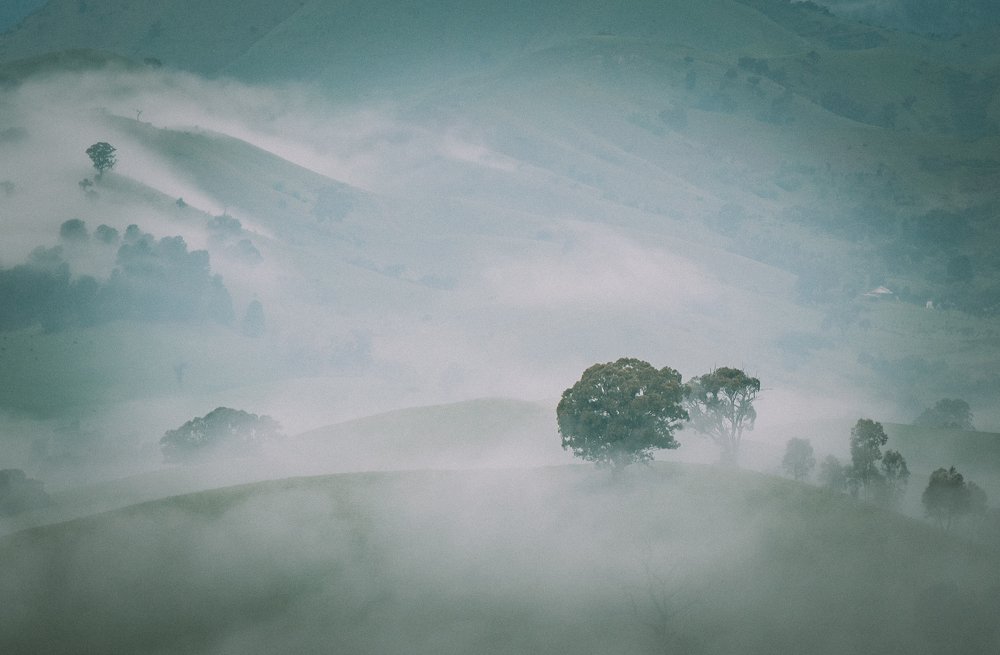 Photograph by Bryan Vu