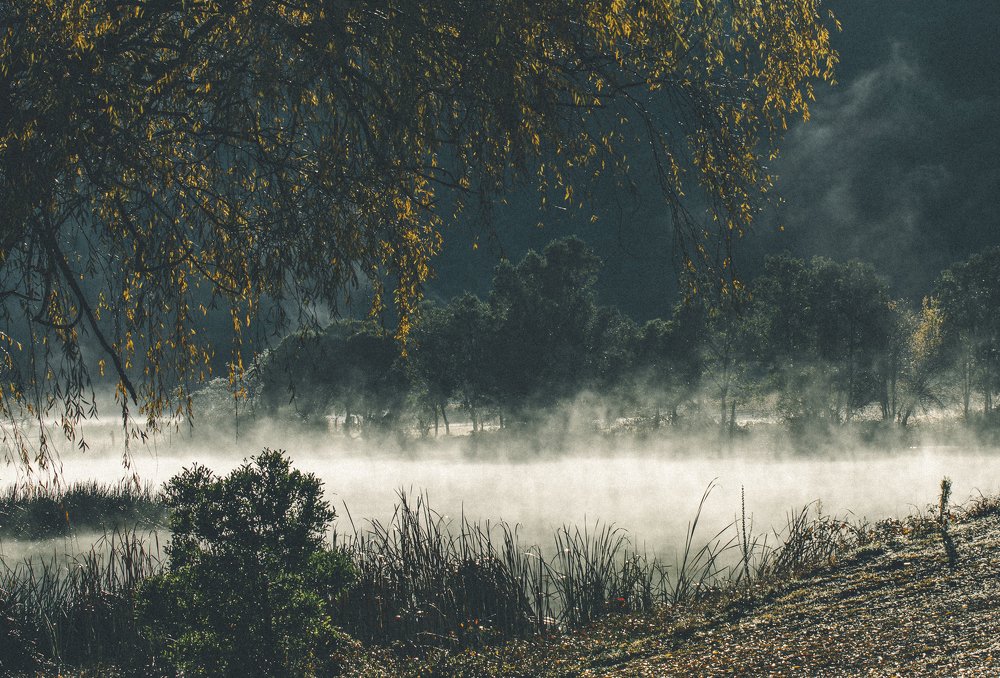 Photograph by Bryan Vu