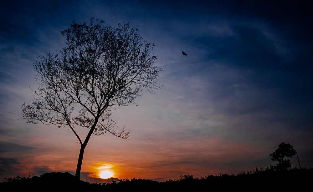 Photograph by Carlos Alberto Gómez Iñiguez