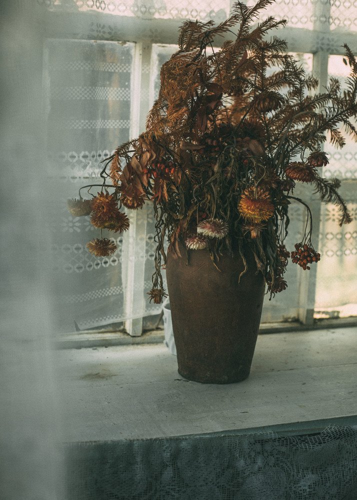 Photograph by Айман Дайрабаева