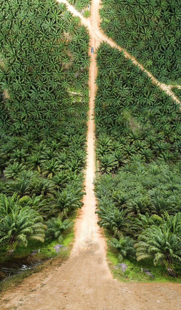 Photograph by Bernard Lieu