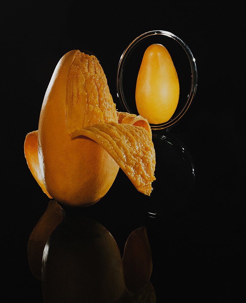 Photograph by Carlos Alberto Gómez Iñiguez