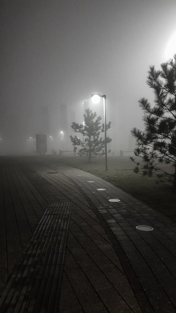 Photograph by Z