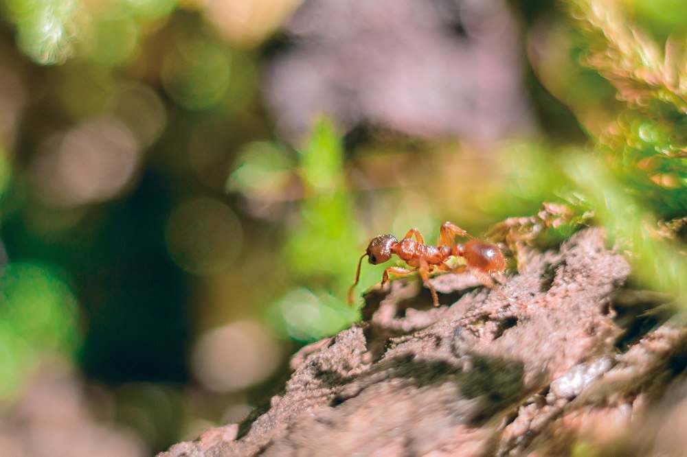 Photograph by Алексей Харламов