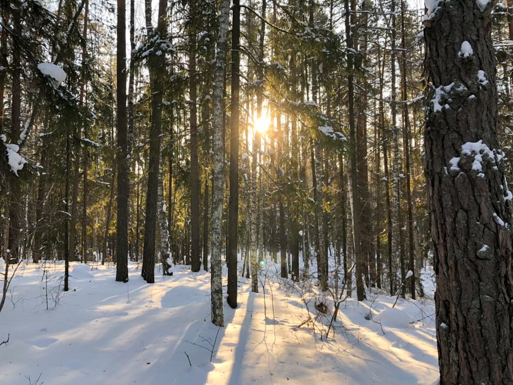 Photograph by Ольга Воронина