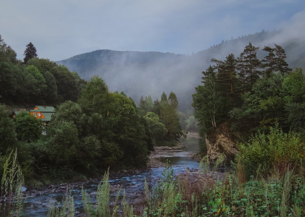 Photograph by Михаил Заброцкий