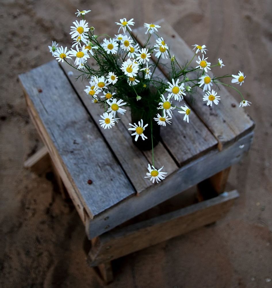 Photograph by Юрий Варюхин