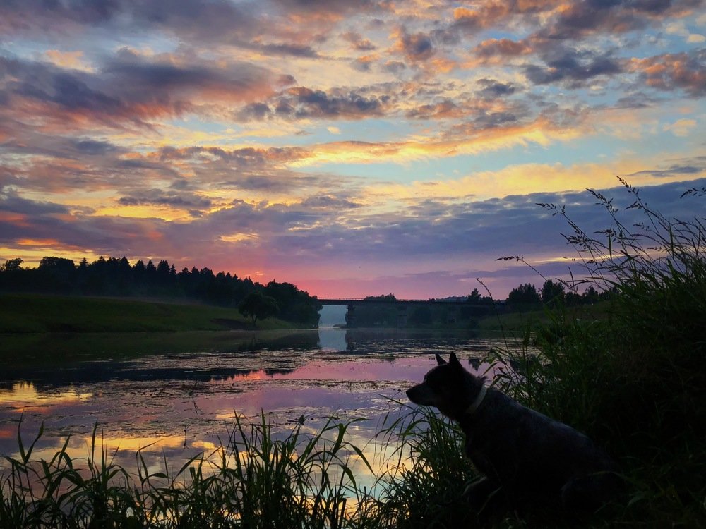 Photograph by Шумилина Марьяна