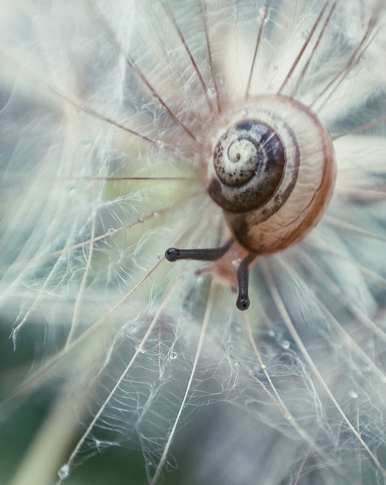 Photograph by Шумилина Марьяна