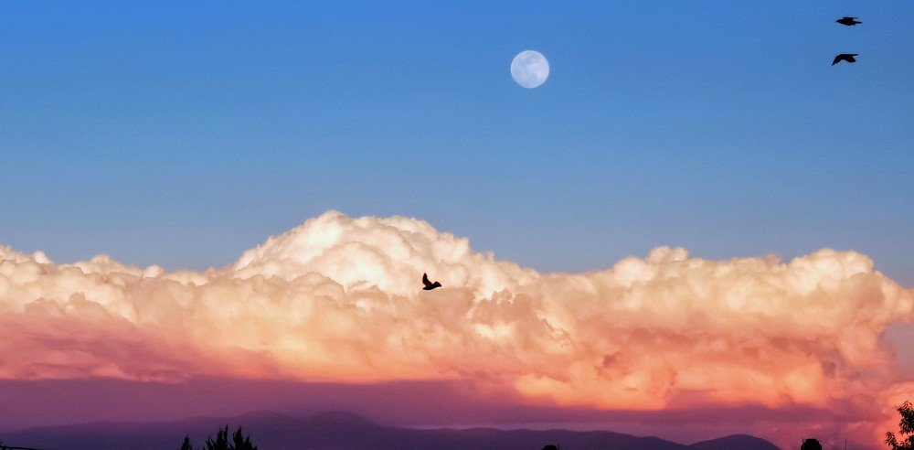 Atardecer rosa