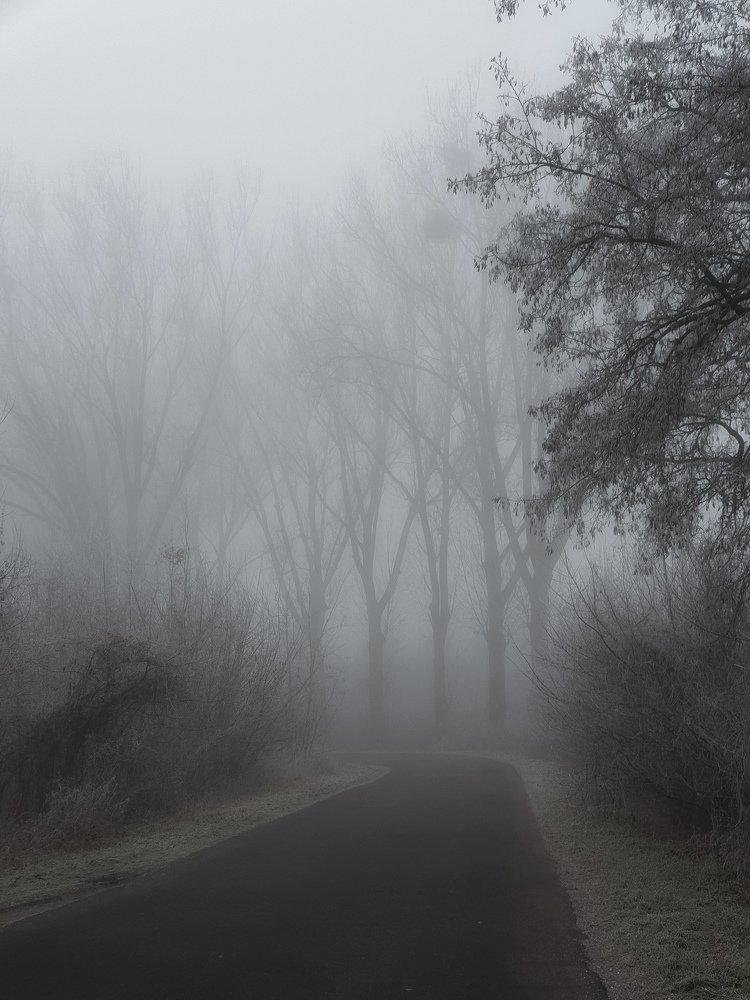 Photograph by Вера Крейдич