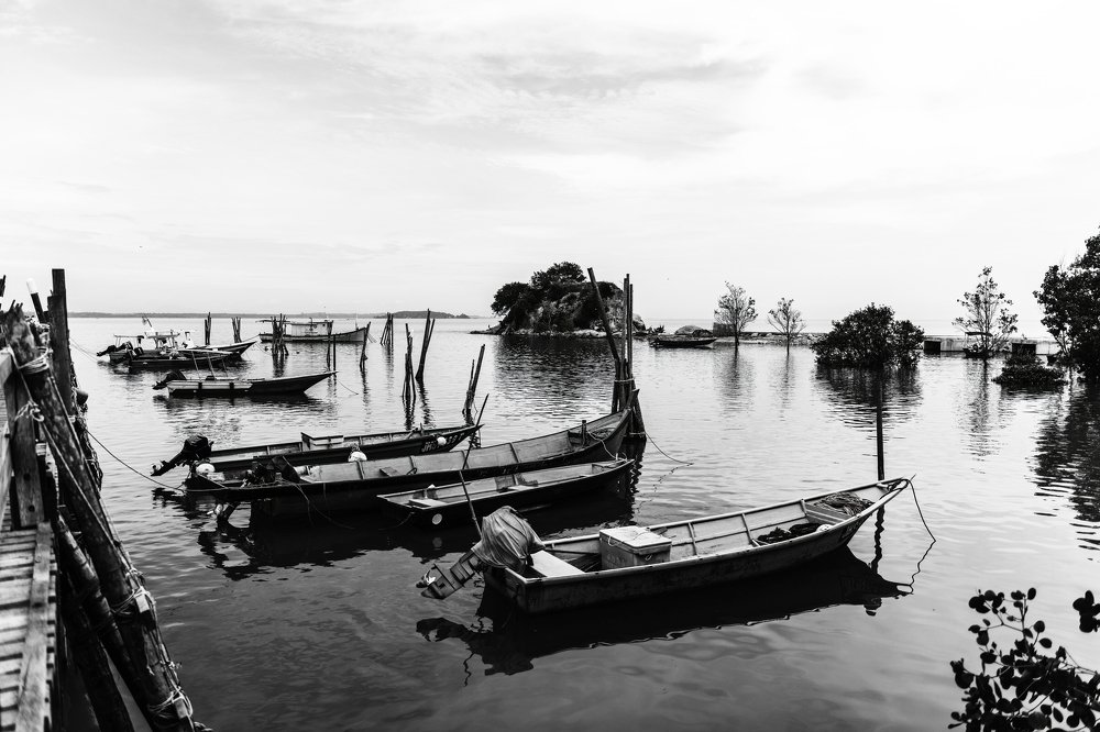 Photograph by Norani Ismail