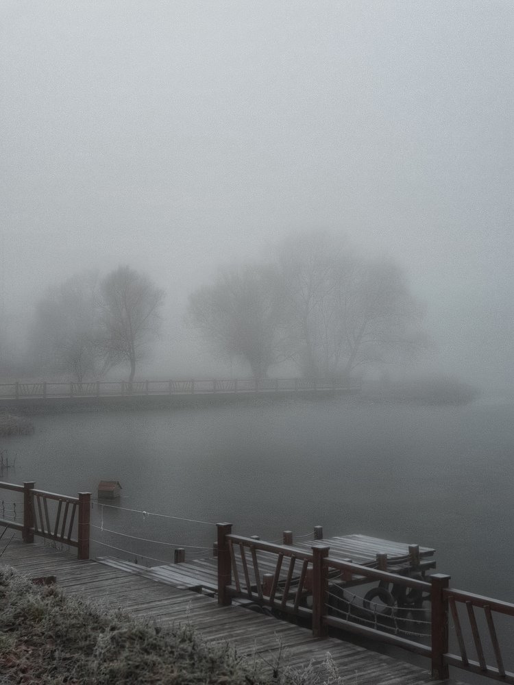 Photograph by Вера Крейдич