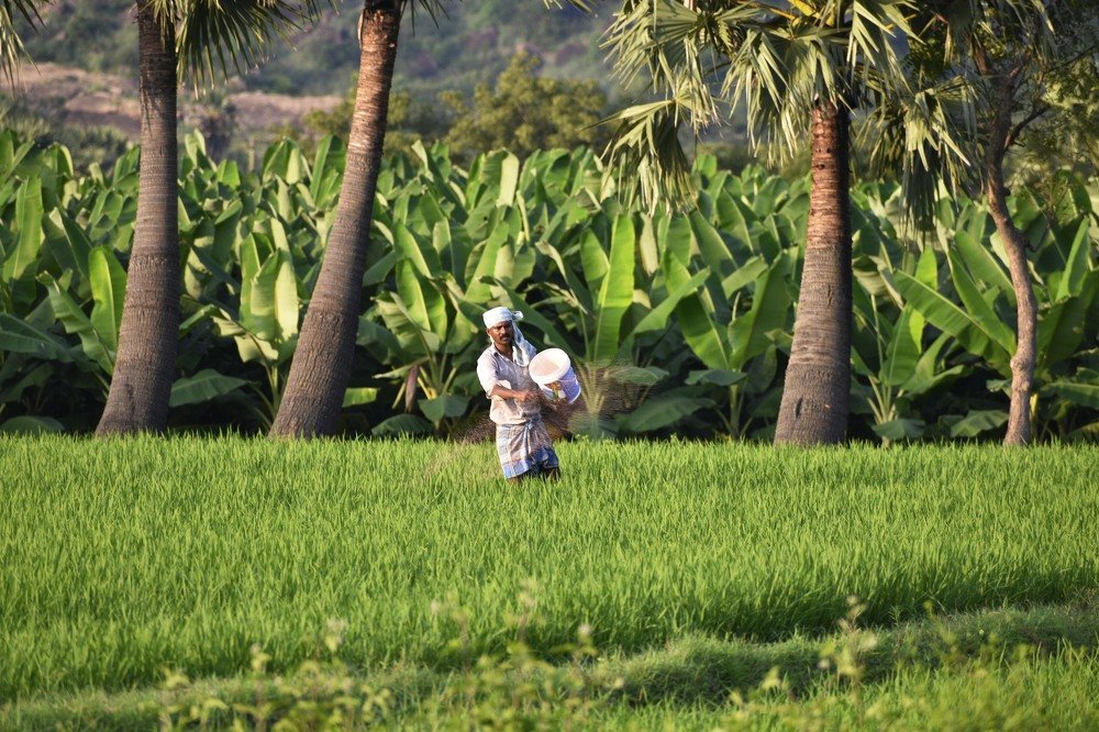 Photograph by Arulmurugan P