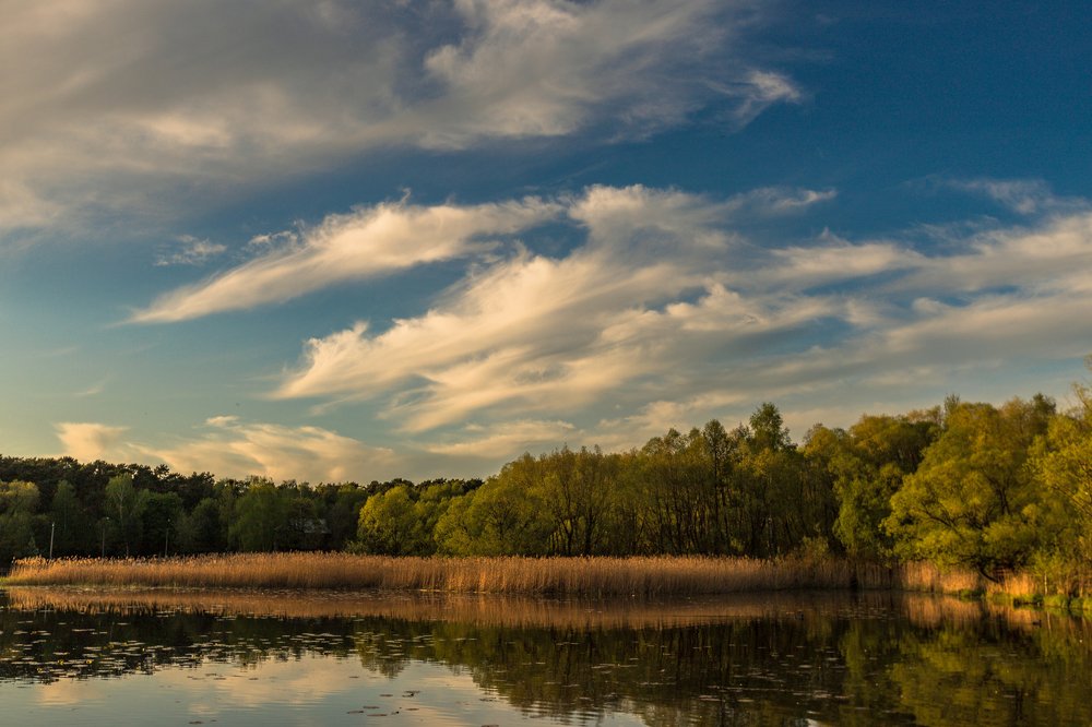 Фотография автора Роман