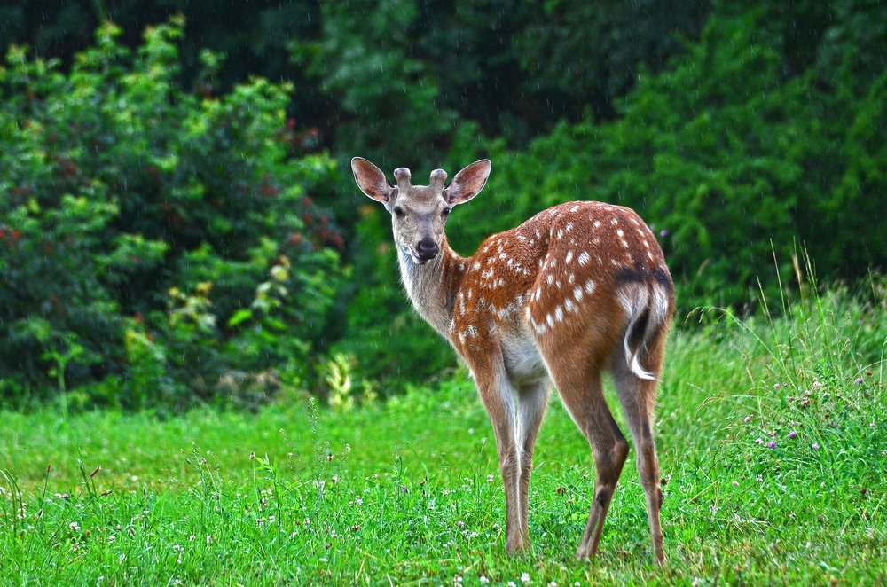 Фотография автора Антип