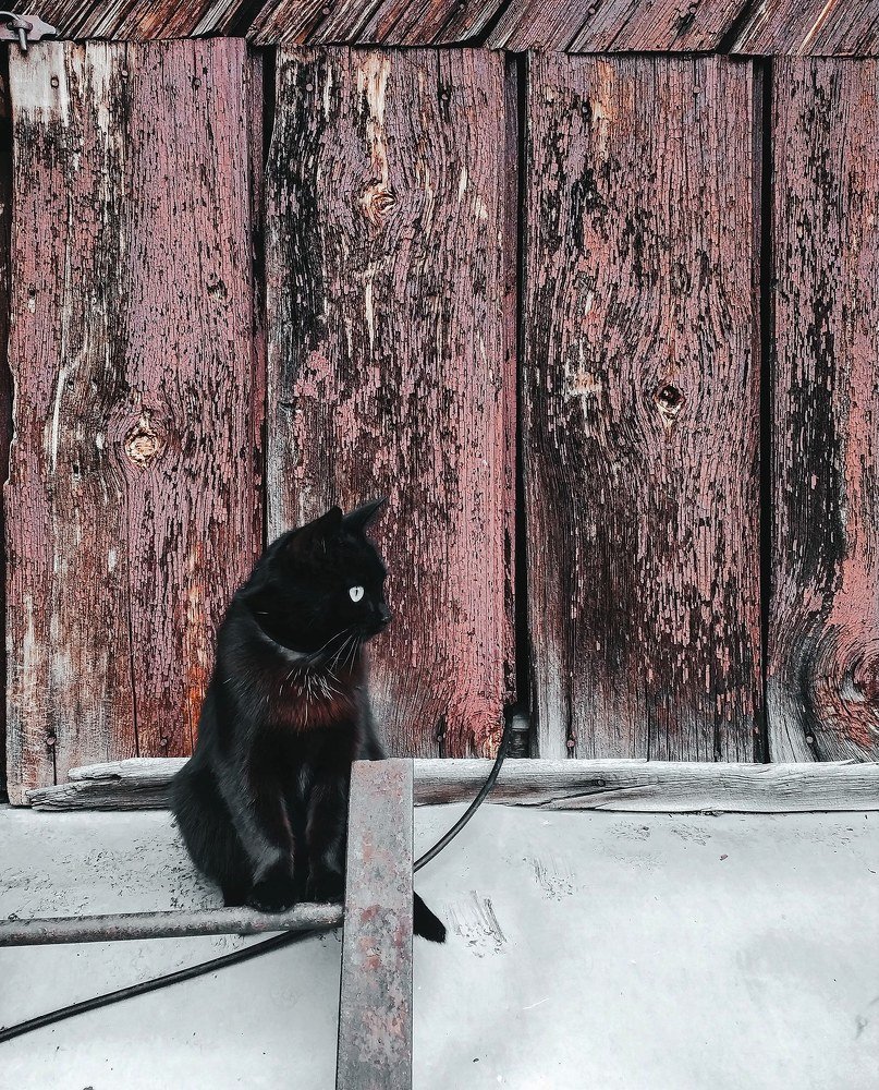 Photograph by Юлия Плаксина