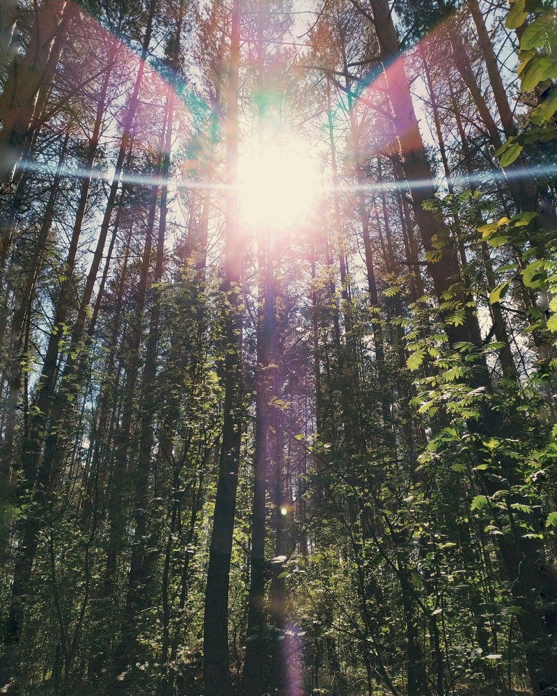 Photograph by Юлия Плаксина