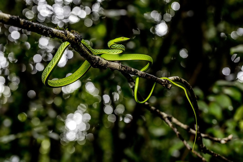 Photograph by Bhanu Kiran Botta