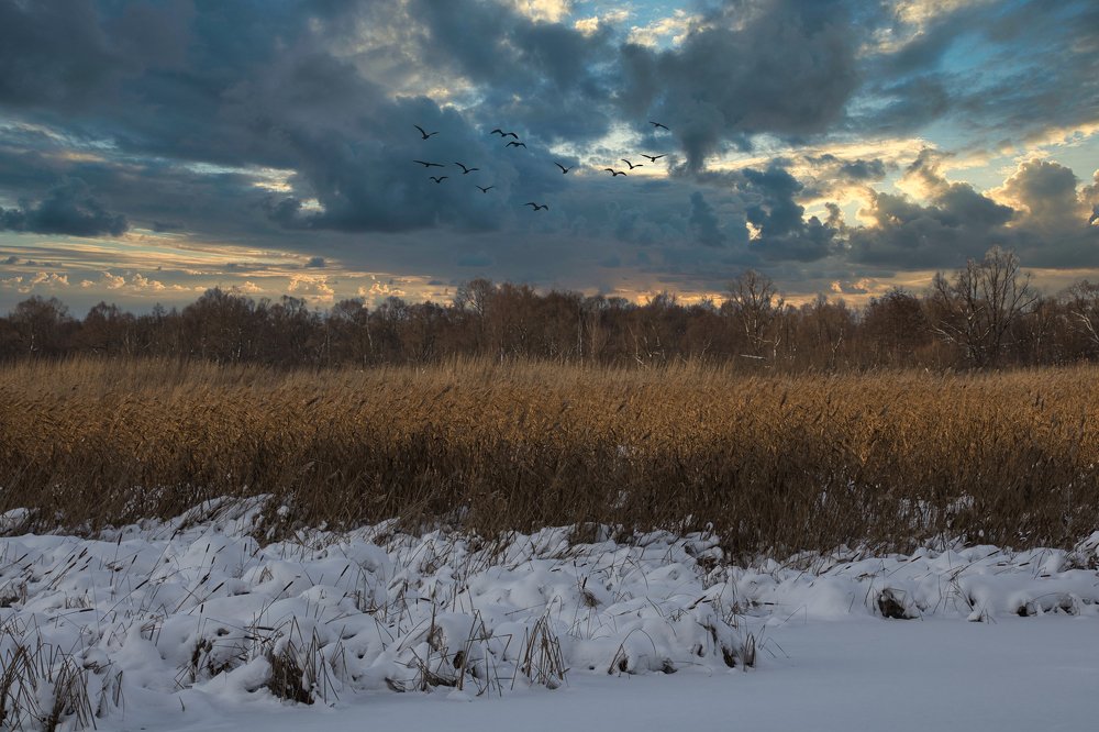 Фотография автора Роман