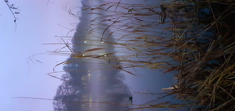 Photograph by Любовь Макарова