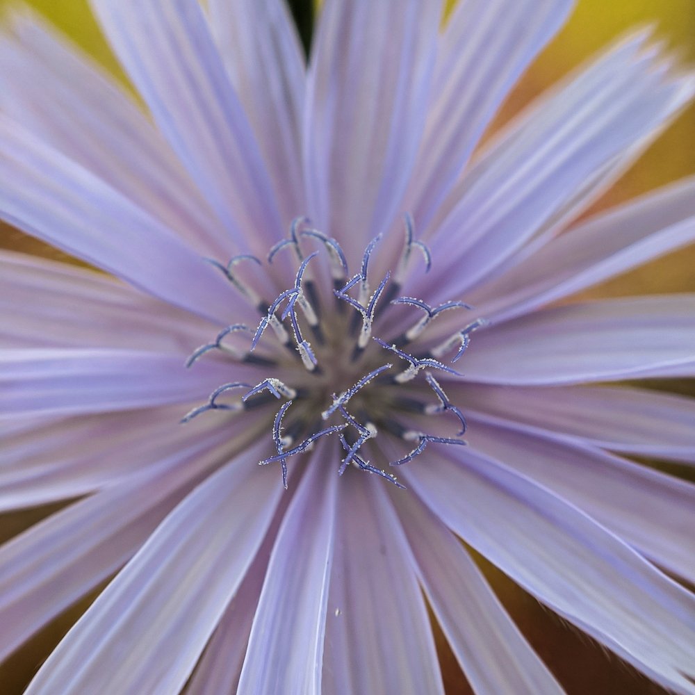 Photograph by Андрей Васильев