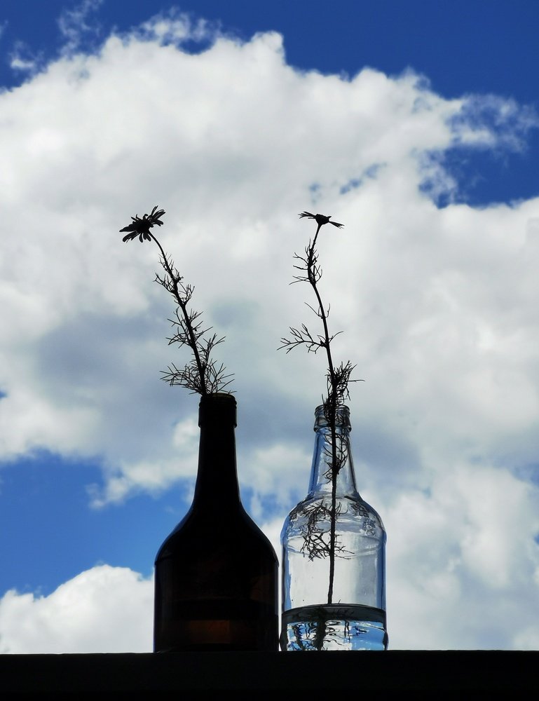 Photograph by Юрий Полушин