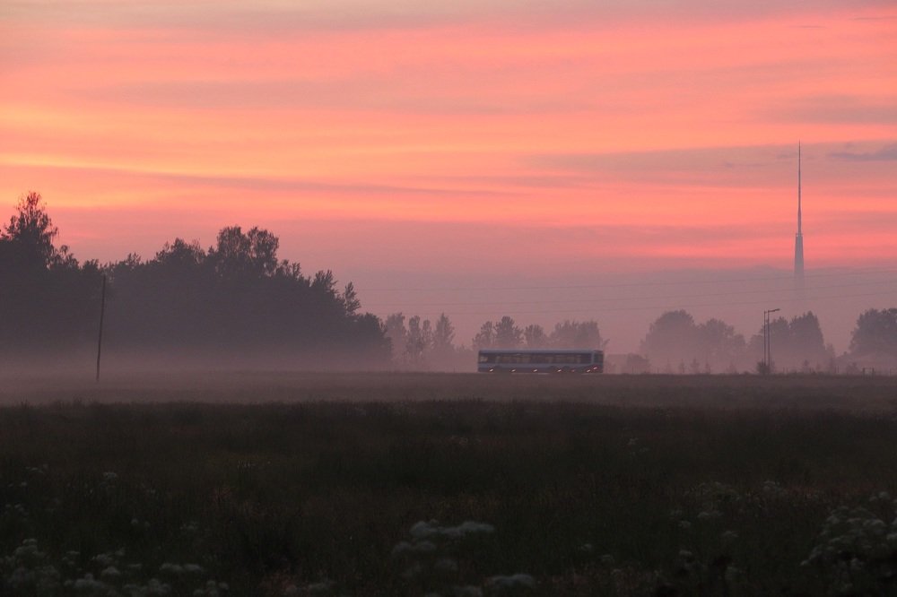 Photograph by Jelena Dzene