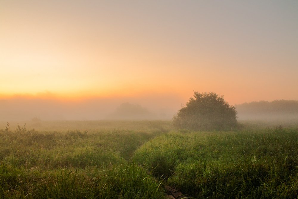 Photograph by Евгений Новицкий
