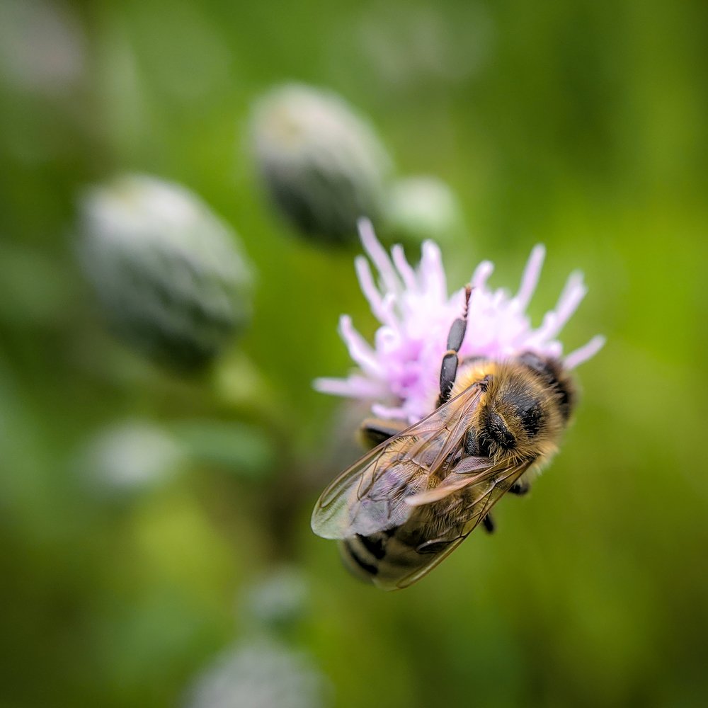 Photograph by Андрей Васильев