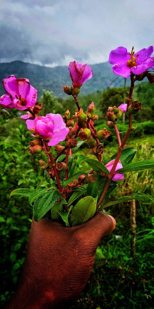 Photograph by Prakash V S