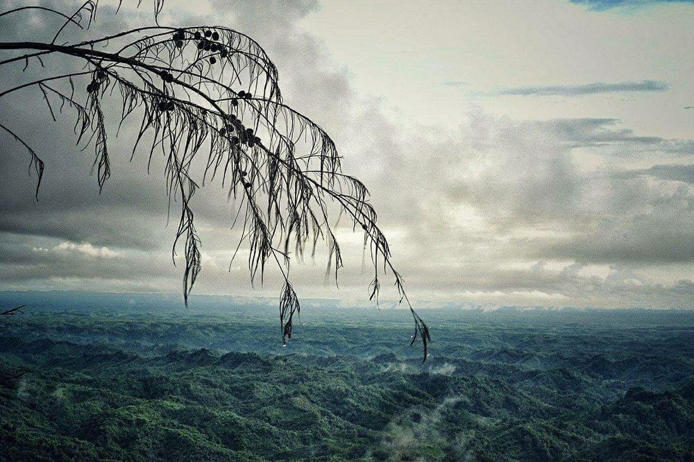 Photograph by nadirujaman hemal fakir fakir