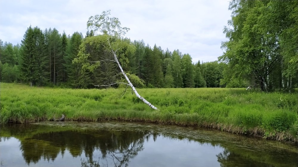 Photograph by Максим Покрышкин