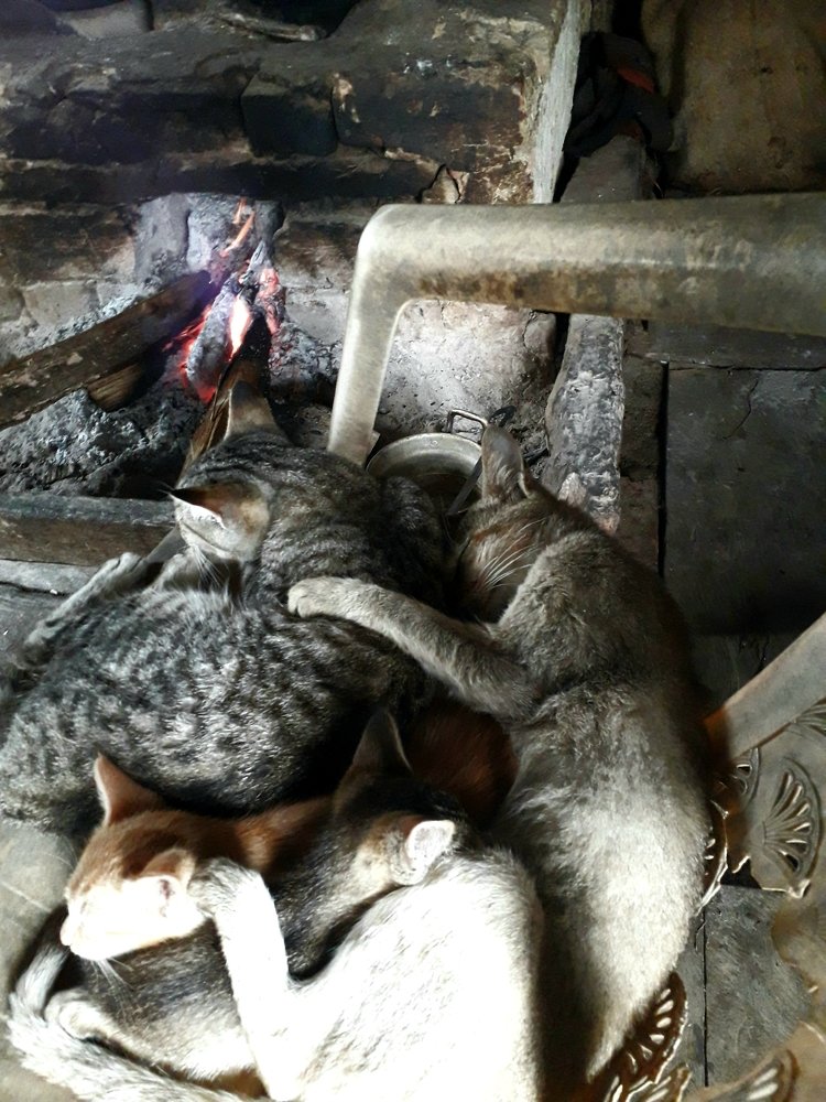 Фотография автора Karma Yangdon