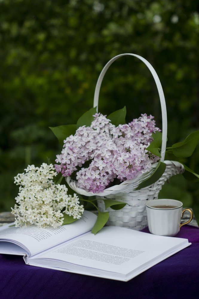 Photograph by Anna Gapanovich