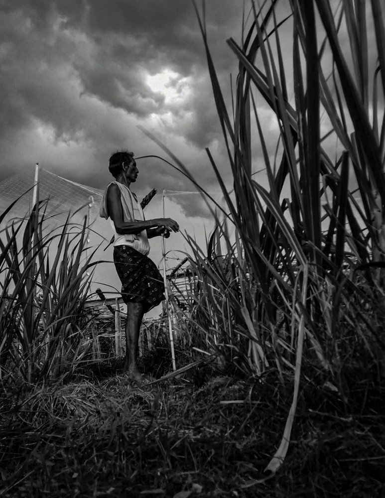 Photograph by Rashmi Ranjan Sahoo