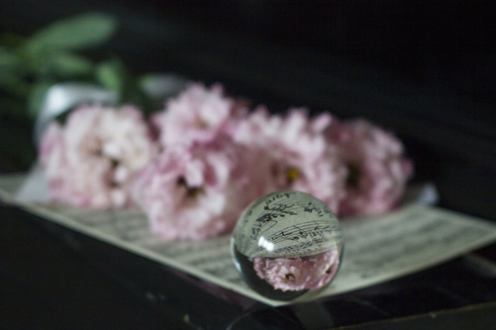 Photograph by Anna Gapanovich