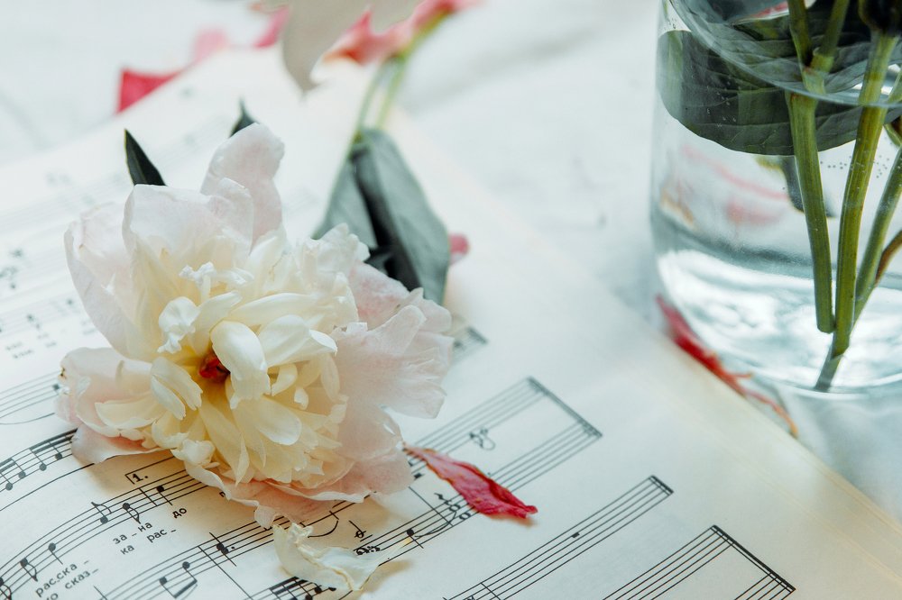 Photograph by Екатерина Авдеева