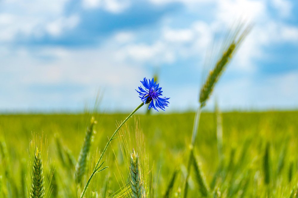 Photograph by Александр Панченко