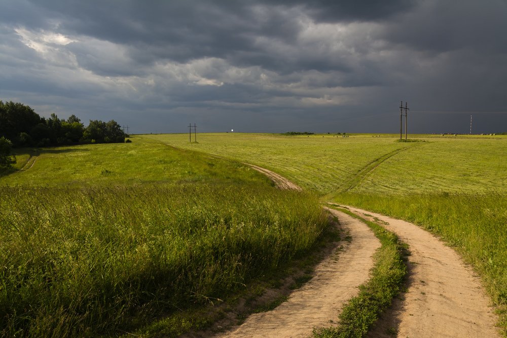 Буйное лето