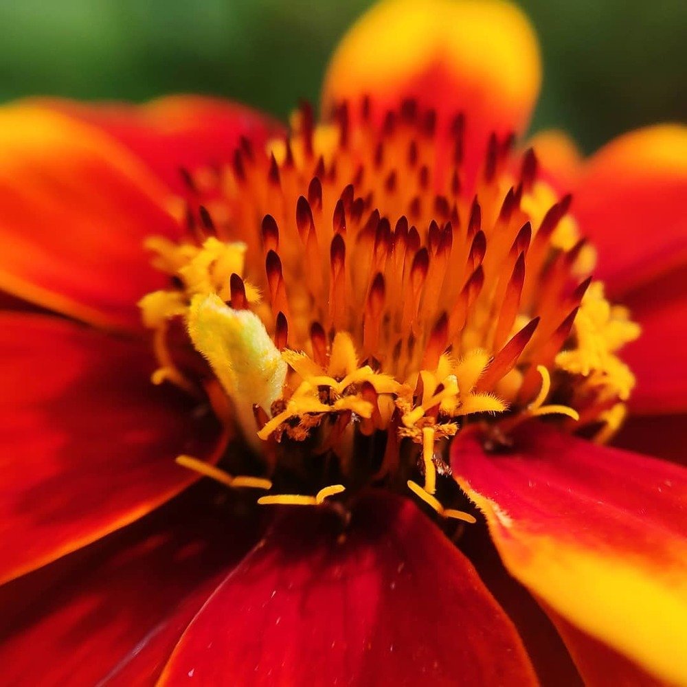 Фотография автора Станислав Ермолин