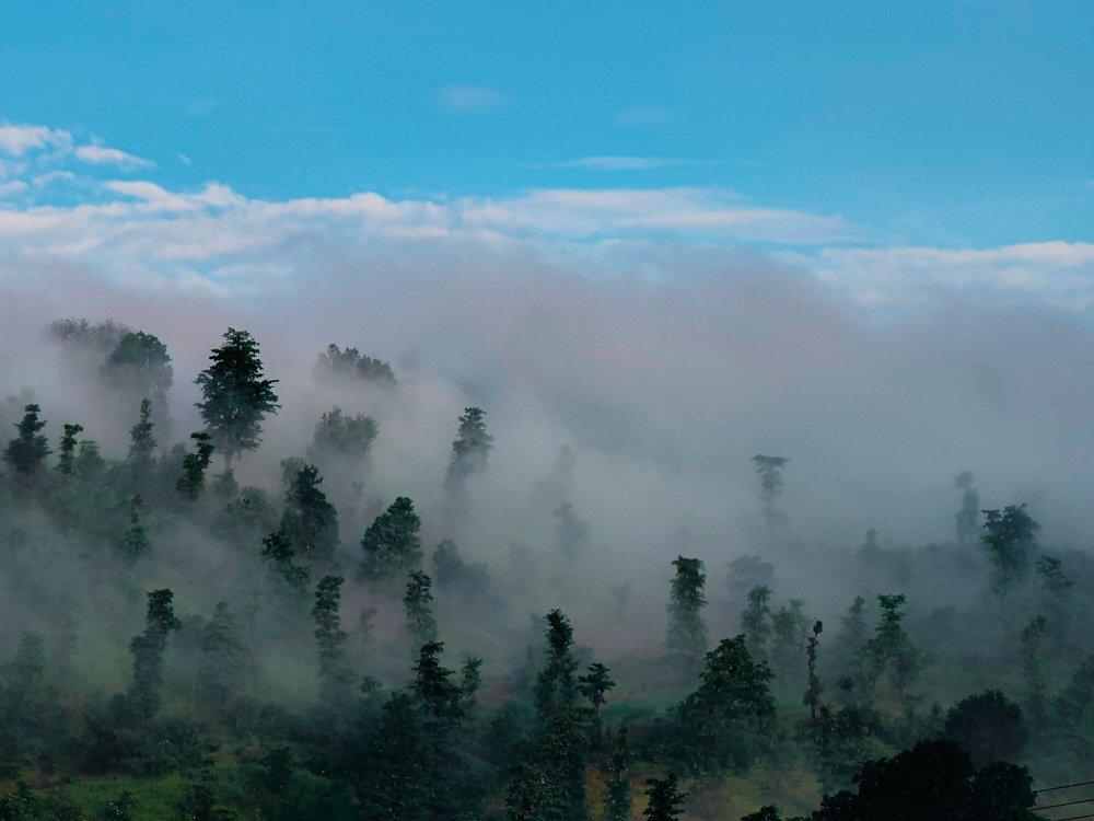 Photograph by Dimpal Rathore