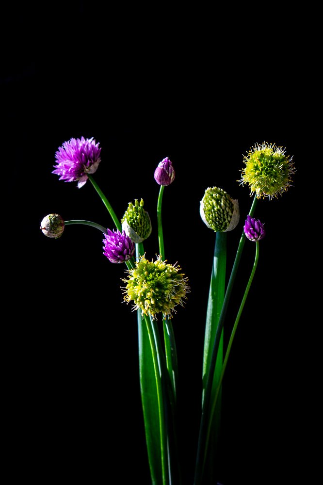 Photograph by Оксана Корчагина