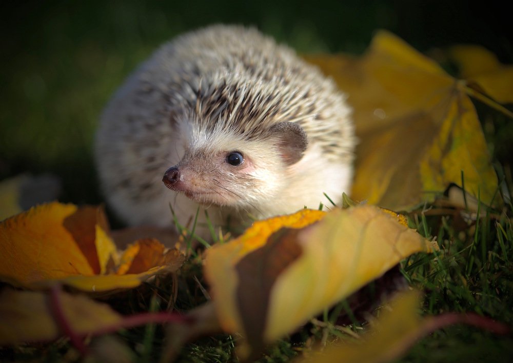 Photograph by Nataliya Mochernyuk