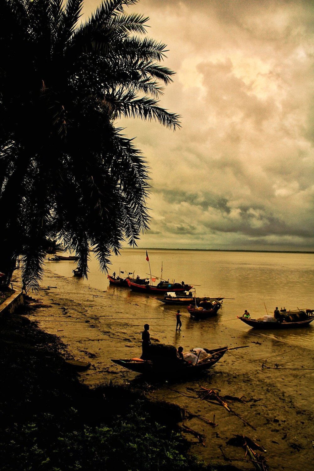 Photo #4760379