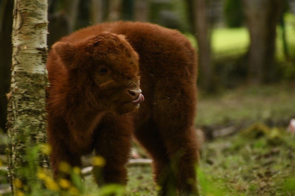 Photograph by Татьяна Крахина