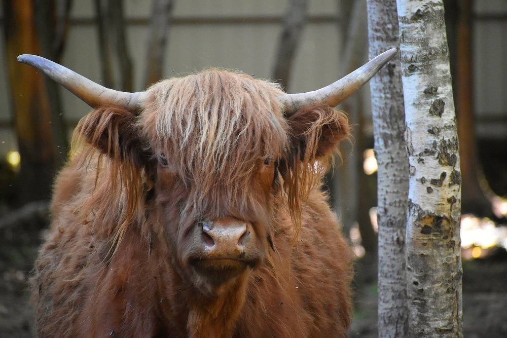 Photograph by Татьяна Крахина