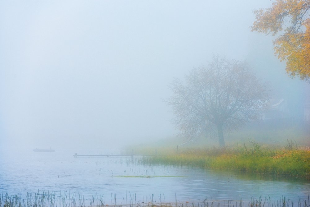 Photograph by Устюжанин Михаил